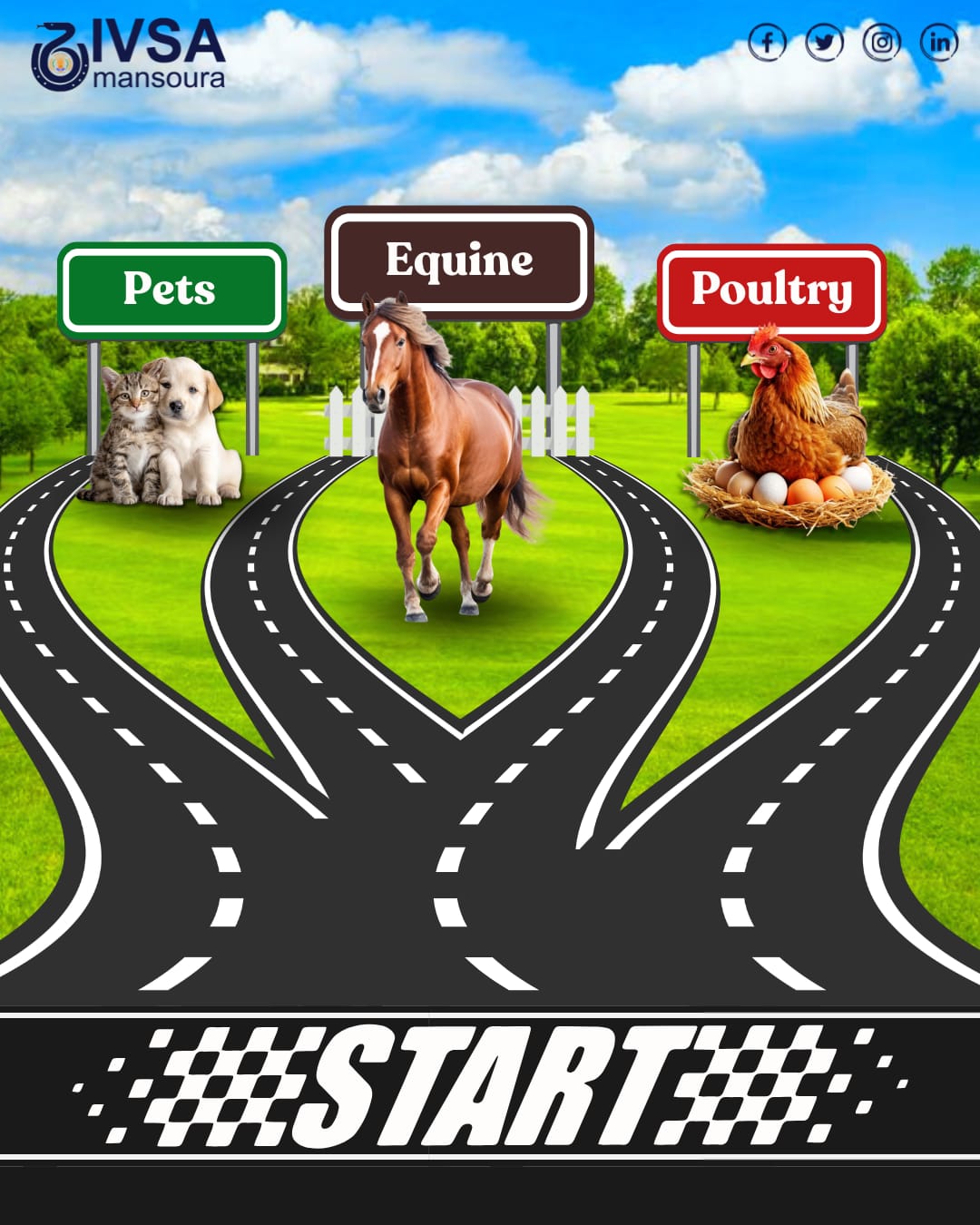 3 Educational Tracks